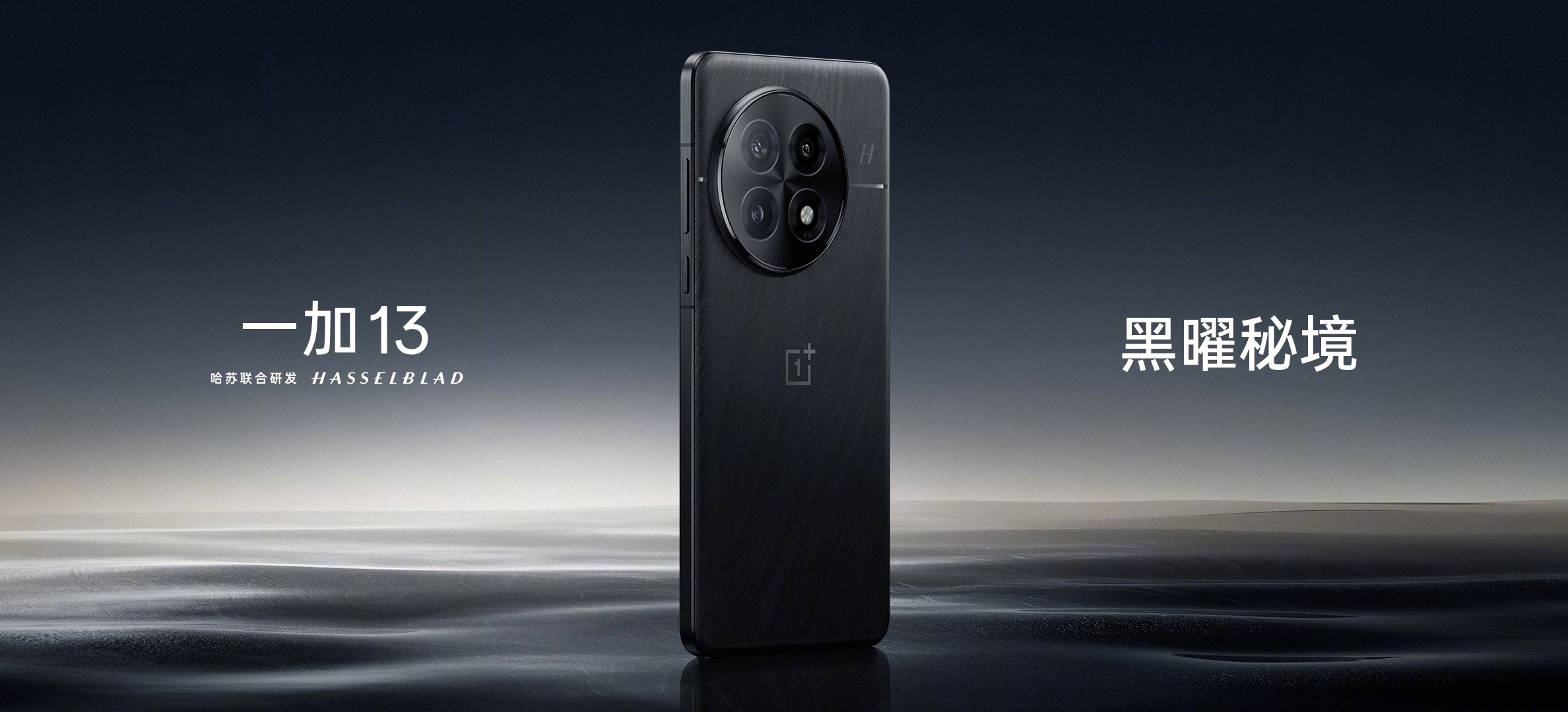 OnePlus 13