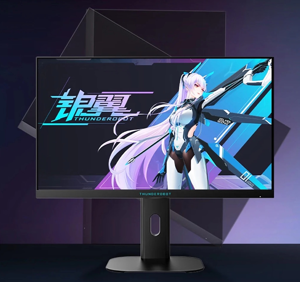 Thunderobot ZQ25F300L